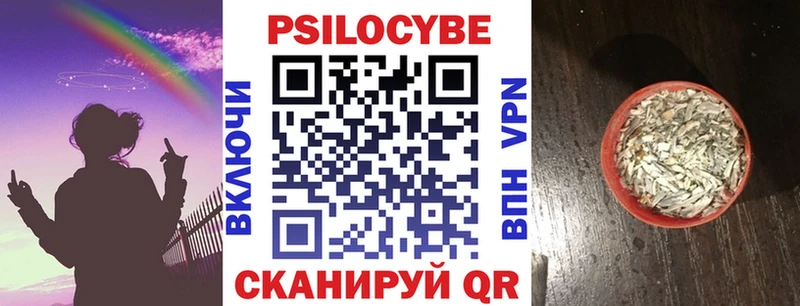 как найти закладки  Сретенск  Галлюциногенные грибы MAGIC MUSHROOMS 